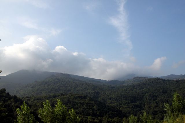 2010 07 16 jeanmarcperfetti.com 046.JPG